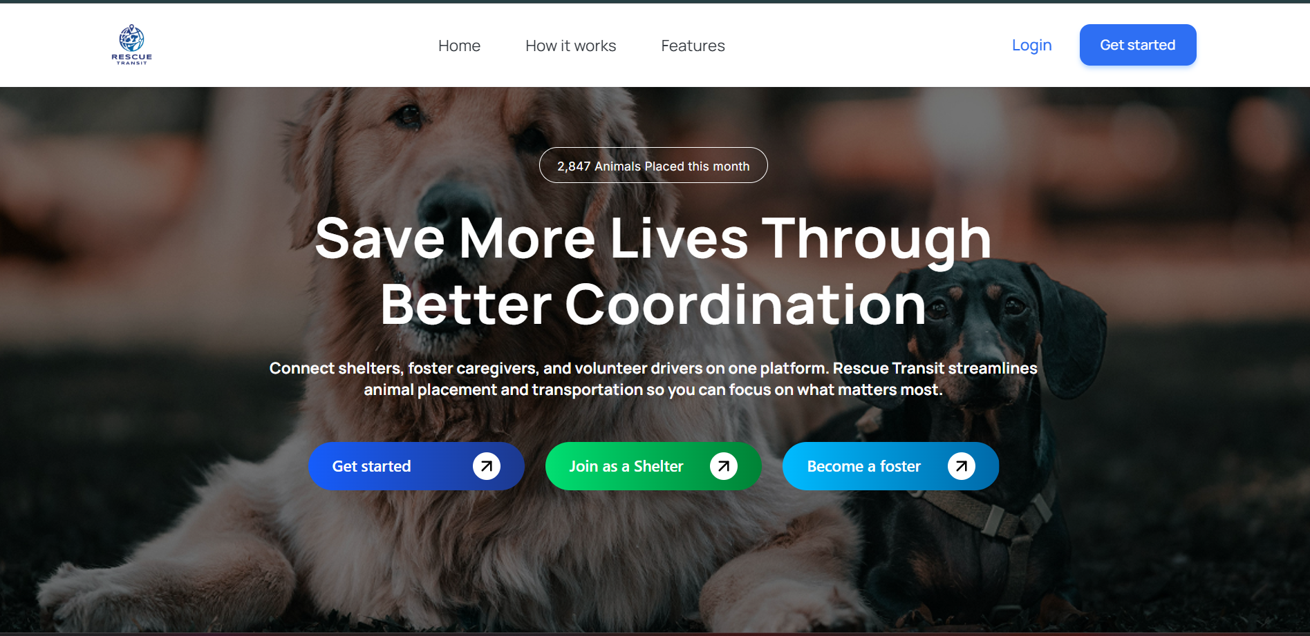 Rescue Transit homepage connecting animal shelters foster caregivers and drivers